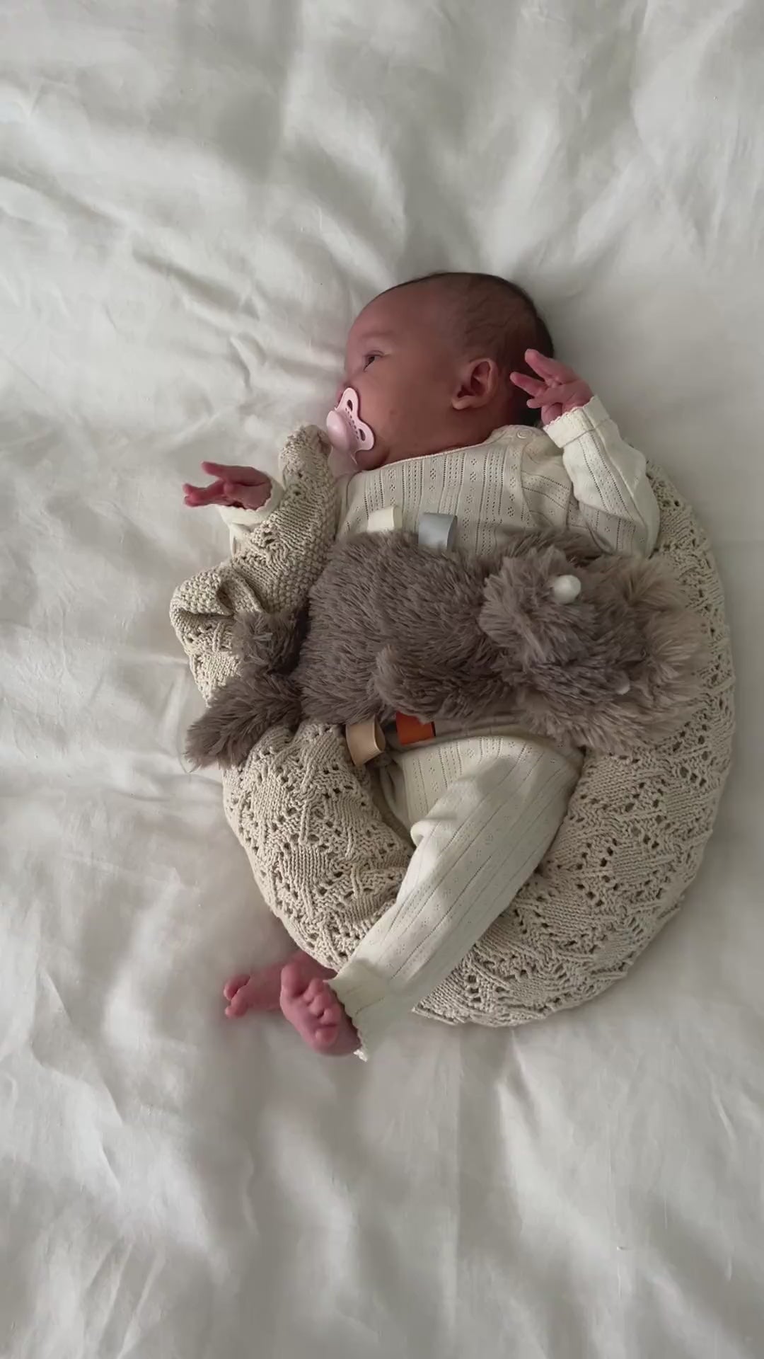 Houston heavy teddy mini - Dino