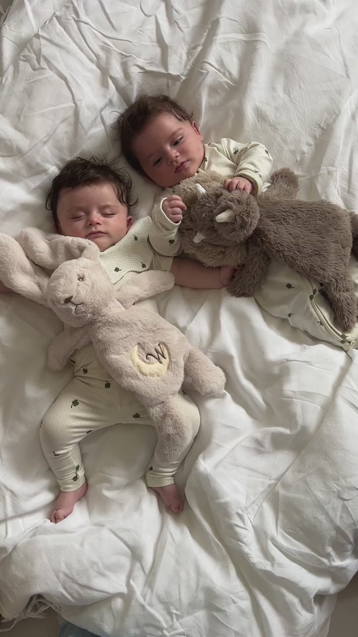 Houston heavy teddy small - Dino